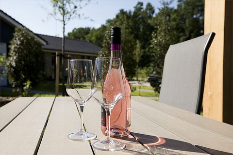 Luxury vacation home for 2 on the Veluwe - 2