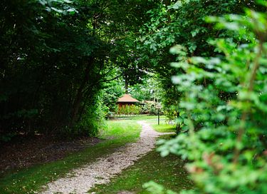 Cabane de randonneur en bois dans un cadre magnifique - 25