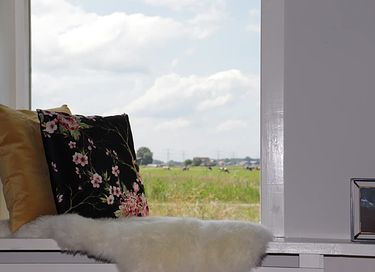 B&B tussen de weilanden bij Zwolle - 6