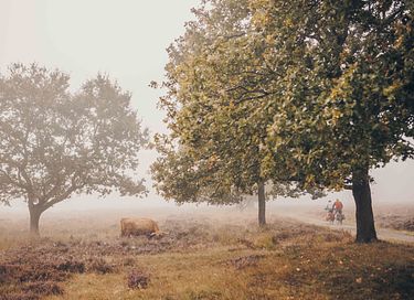 Familiehytte med privat spabad i Drenthe - 26