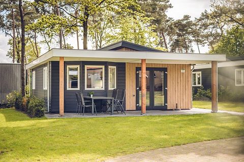 Luxe chalet voor 4 personen op groen park - 2