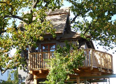 Prachtige boomhut in een oude kersenboom