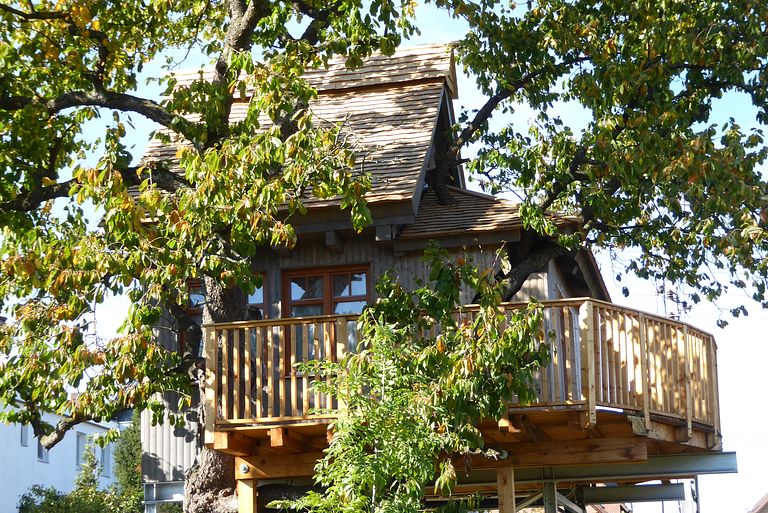 Prachtige boomhut in een oude kersenboom - 1