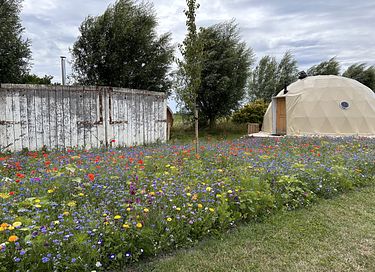 Romantische glamping Dome met privé hottub - 26