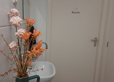 Bijzonder overnachten in een natuurhut - 16