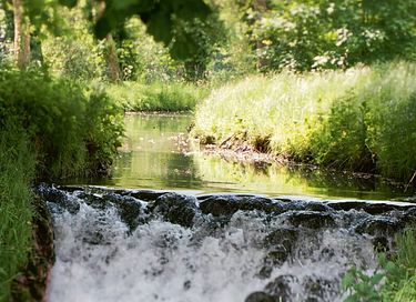 Luxe privé glamping aan het water met hottub - 34