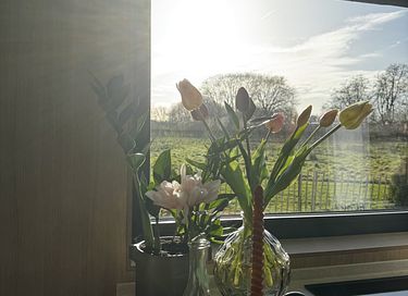 tiny house atmosphérique dans le polder - 5