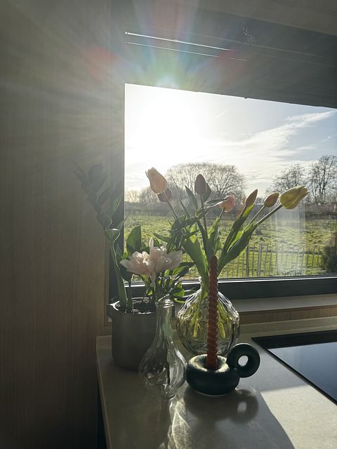 tiny house atmosphérique dans le polder - 5