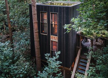 Unique treehouse (5p) with private hot tub - 14