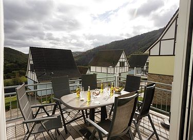 Luxury vacation home in Germany with sauna - 4
