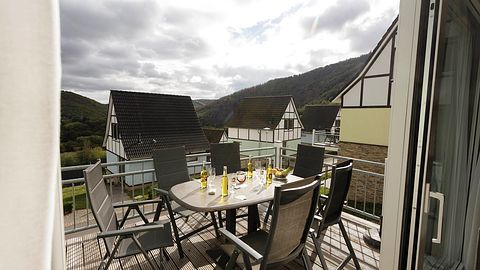 Luxury vacation home in Germany with sauna - 4
