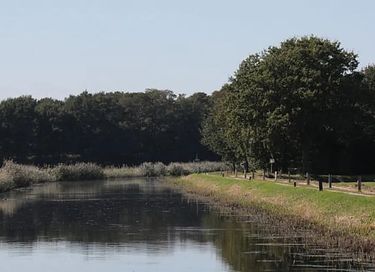 Modernes Einfamilienhaus mit großem Garten - 51