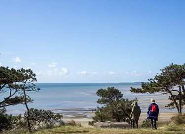 Hotel met mooie ligging op Terschelling - 33