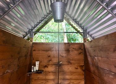 A small cabin among the animals near Appelscha - 17