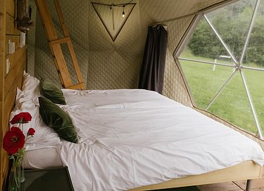 Glamping tent with bathroom and kitchen near forest - 7