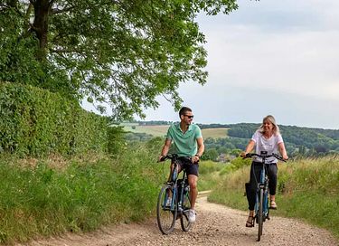 B&B in beautiful Limburg castle - 33