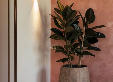 Boutique hotel op groot landgoed - 18