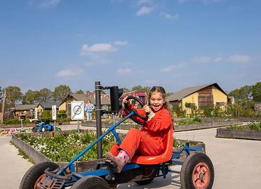 Vakantie op een speelboerderij in Limburg - 4