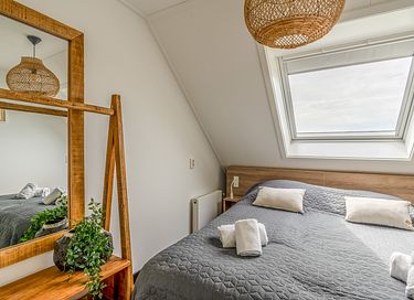 Spacious 10-person wellness villa on Texel - 22