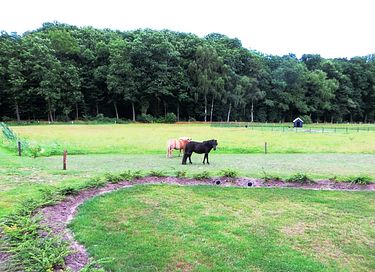 Beautiful group accommodation for 20 people. - 39
