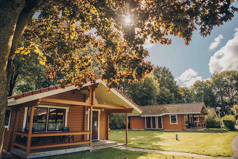 Wooden bungalow with sauna in nature - 1
