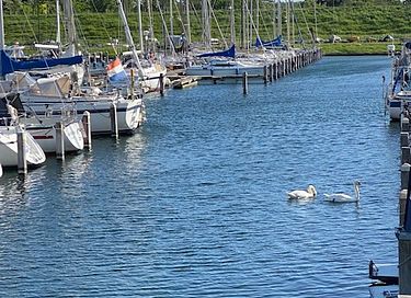 Romantic sailing boat in Zeeland - 20