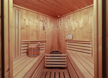 Luxury holiday with sauna in Friesland - 5