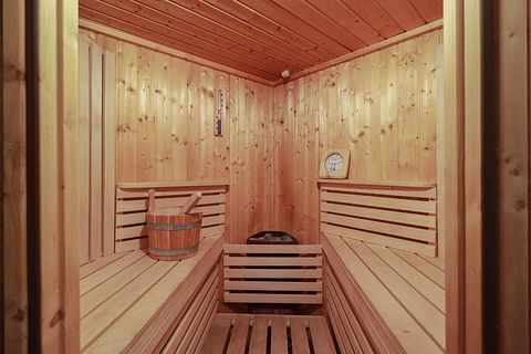 Luxury holiday with sauna in Friesland - 5