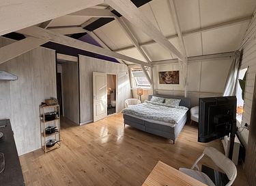 Luxuriöse Wohnung in Bad Nieuweschans - 4