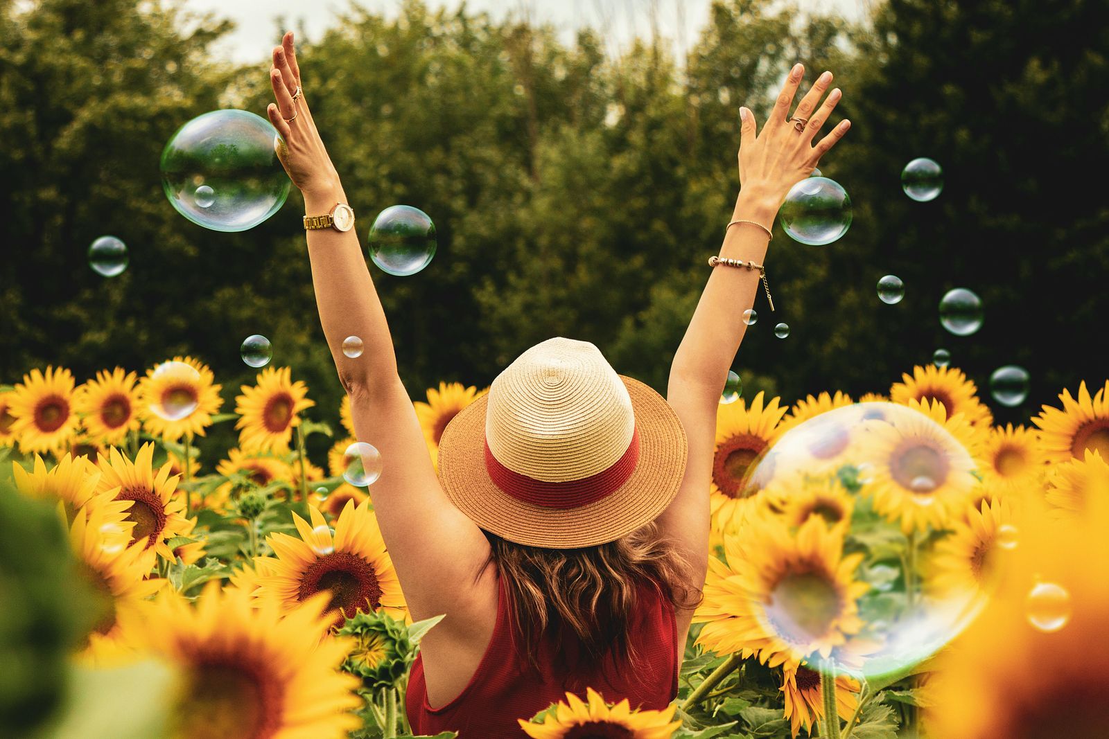 What is the best time to book your holiday?