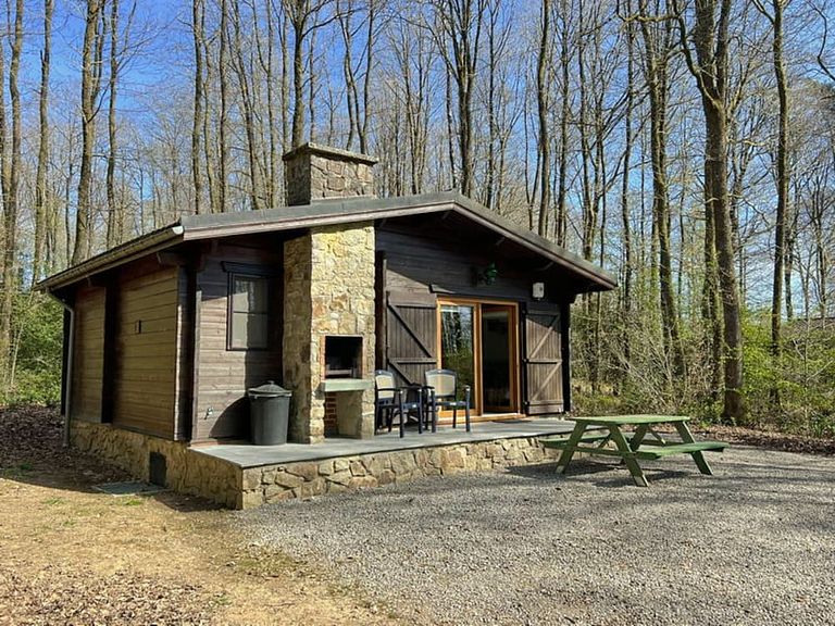 Cozy forest cabin in the Ardennes, dogs welcome - 1