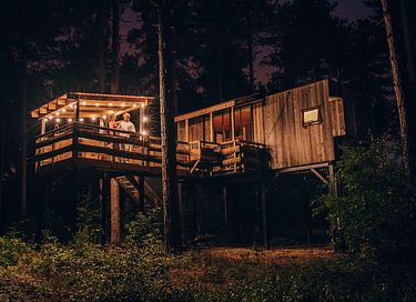 Treehouse in the forest - 2