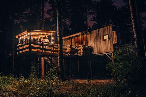 Treehouse in the forest - 2