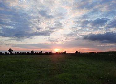 Hébergement de groupe dans une prairie à Drenthe ! - 39