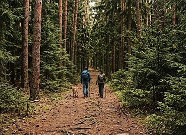 Bæredygtigt naturhus med sauna  - 18