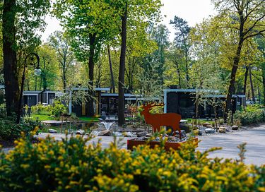 Luxuriöses Tiny House im Ferienpark Veluwe - 19