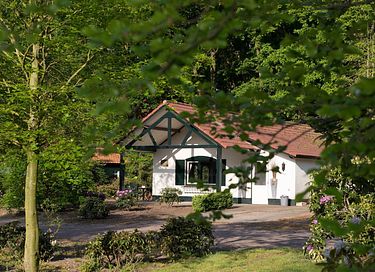 Belle Maison dans la forêt pour 2-4 personnes