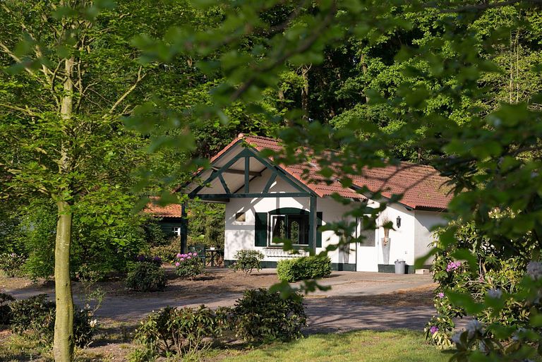 Schönes Waldhaus für 2-4 Personen - 1