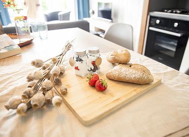 Charming stay on the Dutch coast - 4