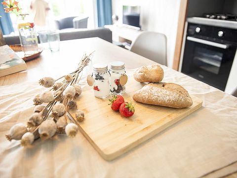 Charming stay on the Dutch coast - 4