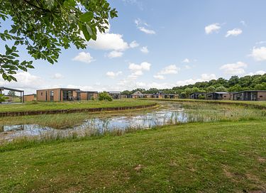 Animal friendly bungalow in Drenthe - 15
