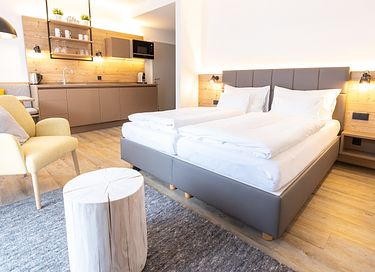 Luxury aparthotel in the Austrian alps - 8