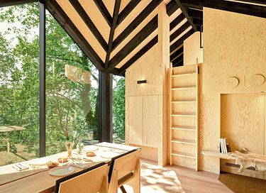 Unique cabane dans les arbes avec sauna privé dans les Ardennes - 12