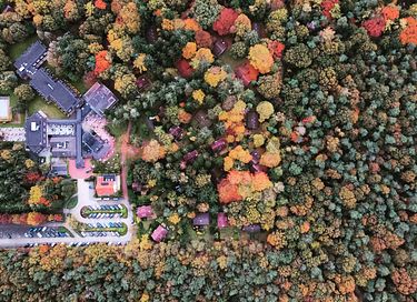 Forest cabin in the Veluwe on park with pool - 21