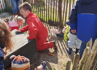 Glamping op een boerderij in Friesland - 12