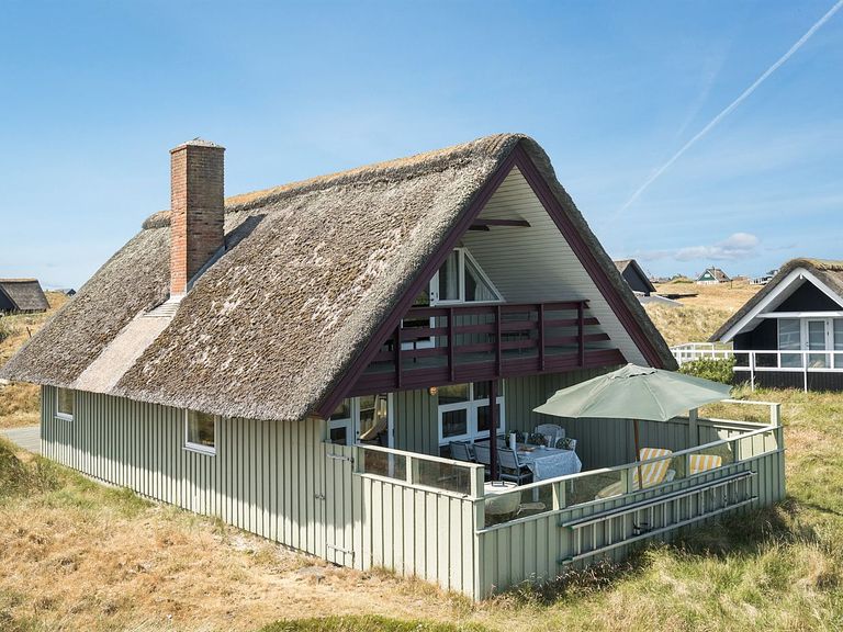 Rietgedekt vakantiehuis in Denemarken - 1