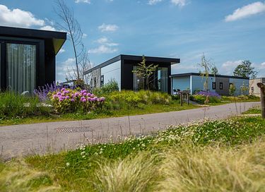 Holiday home near the water in Overijssel - 12