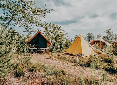 Luxe tent voor 4 pers. op bijzondere locatie - 11