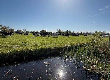 Overnatning i en cirkusvogn med wellness - 34