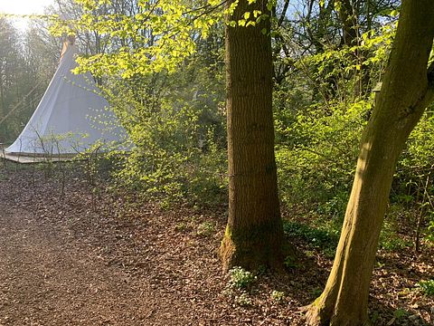 Slapen in een indiaanse tipi voor 6 personen - 2